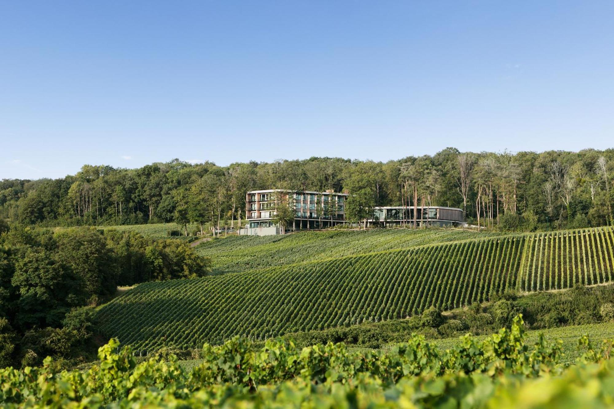 Loisium Wine & Spa Hotel Champagne Mutigny Ngoại thất bức ảnh